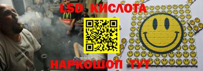 ГАЛЛЮЦИНОГЕННЫЕ ГРИБЫ Заволжье