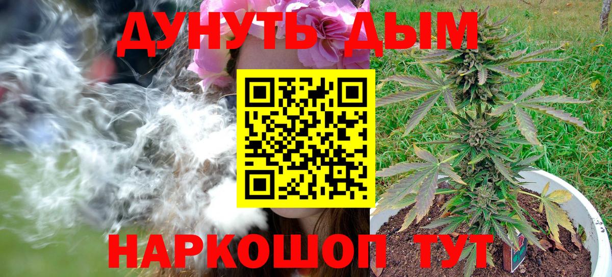 Шишки марихуана план  Бошки Шишки Bruce Banner  Вход с VPN  Каннабис OG Kush  Отрадный  Марихуана White Widow 